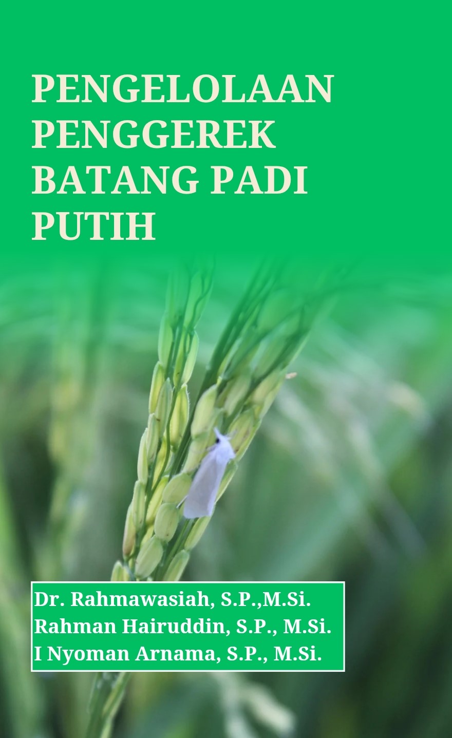 Sampul Depan Buku Rahmawasiah
